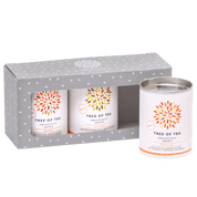 Tree of Tea 3er Mini Früchtetee Set