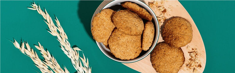 Kokos Kekse in einer Schale mit Hafer daneben