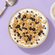 Blueberry Lemon Cake Müsli angerichtet in einer Müslischale